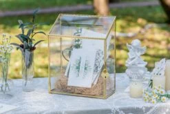 NCYP Wedding Card Box With Slot And Lock - 9.5x4.5x11.8 Inches - Gold Glass Envelope Donation Box For Birthday Party Reception - Vintage Centerpiece, Decoration (Glass Box Only) -Terrarium Plant Hub 290A6950 f6488723 99e0 4daa ab27 1727567add47