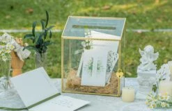 NCYP Wedding Card Box With Slot And Lock - 9.5x4.5x11.8 Inches - Gold Glass Envelope Donation Box For Birthday Party Reception - Vintage Centerpiece, Decoration (Glass Box Only) -Terrarium Plant Hub 290A7081 4652f066 c4e8 4d9a 8c69 3d26d466e0e5