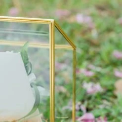 NCYP Wedding Card Box With Slot And Lock - 9.5x4.5x11.8 Inches - Gold Glass Envelope Donation Box For Birthday Party Reception - Vintage Centerpiece, Decoration (Glass Box Only) -Terrarium Plant Hub 290A7174 9d56427d e7ce 4921 9851 eb1d8d471f63