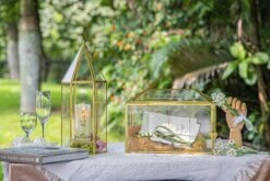Handmade Gold Tall Tower Terrarium Glass Box For Ribbon Wands, Pens, Cancel Holder For Wedding, Reception, Wishing Well, Bridal Shower -Terrarium Plant Hub 290A8678 2 dafd0abe 686a 400d aa3b e695e89ae012