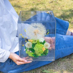 Super Large Diameter 11cm / 4.3 Presered Dandelion Dried Flowers, DIY Material For Bouquet, -Terrarium Plant Hub 290A8965