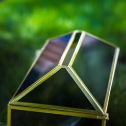 Handmade Black And Gold Large Geometric Glass Donation Box Terrarium With Slot And Lock 40 Handmade Black And Gold Large Geometric Glass Donation Box Terrarium With Slot And Lock -Terrarium Plant Hub 290A9089 2