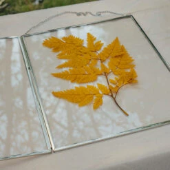 Handmade Silver 11x14" Hanging Double Glass Pressed Flower Floating Frame -Terrarium Plant Hub 290A9488