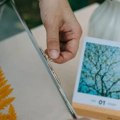 Handmade Silver 11x14" Hanging Double Glass Pressed Flower Floating Frame -Terrarium Plant Hub 290A9528 2
