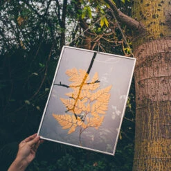 Handmade Silver 11x14" Hanging Double Glass Pressed Flower Floating Frame -Terrarium Plant Hub 290A9650