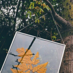 Handmade Silver 11x14" Hanging Double Glass Pressed Flower Floating Frame -Terrarium Plant Hub 290A9661