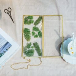 NCYP 4x9 Inchs Clear Glass Picture Frame Wall Hanging Certificate Photo Plant Specimen Clip -Terrarium Plant Hub 290A9698