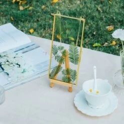 NCYP 4x9 Inchs Clear Glass Picture Frame Wall Hanging Certificate Photo Plant Specimen Clip -Terrarium Plant Hub 290A9709