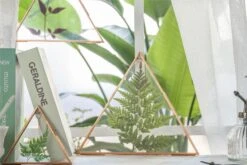 Hanging Triangle Herbarium Copper Glass Frame For Pressed Flowers Dried Flowers Poster -Terrarium Plant Hub 2974