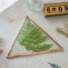 Hanging Triangle Herbarium Copper Glass Frame For Pressed Flowers Dried Flowers Poster -Terrarium Plant Hub 2999