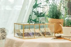 NCYP Glass Terrarium Box Tea Coffee Bag Storage Organizer Jewelry Counter 6 Grids Compartments Handcrafted Brass For Harney & Sons Tea Bag -Terrarium Plant Hub 2 20201224001 6
