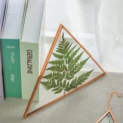 Hanging Triangle Herbarium Copper Glass Frame For Pressed Flowers Dried Flowers Poster -Terrarium Plant Hub 3033