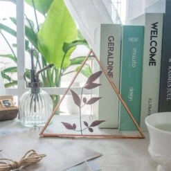 Hanging Triangle Herbarium Copper Glass Frame For Pressed Flowers Dried Flowers Poster -Terrarium Plant Hub 3115