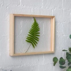 NCYP Handmade 5' 20" A3 A4 Large Tabletop Wall Hanging Natural Wood Acrylic Artwork Floating Frame -Terrarium Plant Hub 4