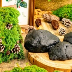 Gardening Plasticine DIY Clay For Perserved Moss, Vertical Garden, Terrarium, Micro Landscape, 500g / 1.1lb -Terrarium Plant Hub 5031