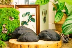 Gardening Plasticine DIY Clay For Perserved Moss, Vertical Garden, Terrarium, Micro Landscape, 500g / 1.1lb -Terrarium Plant Hub 5040