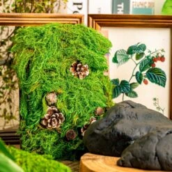 Gardening Plasticine DIY Clay For Perserved Moss, Vertical Garden, Terrarium, Micro Landscape, 500g / 1.1lb -Terrarium Plant Hub 5041