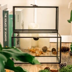 Front Page 65 Front Page -Terrarium Plant Hub 5123