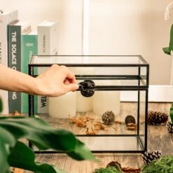 Black Geometric Glass Card Box Terrarium Foot Latch Handmade Rectangular For Wedding Receiption Wishwell Keepsake -Terrarium Plant Hub 5125