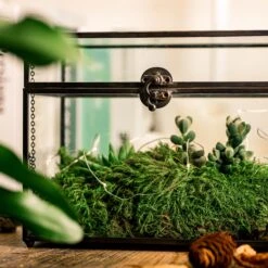 Black Geometric Glass Card Box Terrarium Foot Latch Handmade Rectangular For Wedding Receiption Wishwell Keepsake -Terrarium Plant Hub 5169