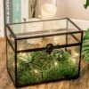 Black Geometric Glass Card Box Terrarium Foot Latch Handmade Rectangular For Wedding Receiption Wishwell Keepsake 1 Black Geometric Glass Card Box Terrarium Foot Latch Handmade Rectangular For Wedding Receiption Wishwell Keepsake -Terrarium Plant Hub 5184