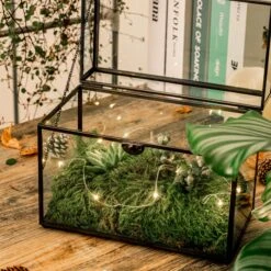 Black Geometric Glass Card Box Terrarium Foot Latch Handmade Rectangular For Wedding Receiption Wishwell Keepsake -Terrarium Plant Hub 5190
