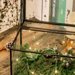 Black Geometric Glass Card Box Terrarium Foot Latch Handmade Rectangular For Wedding Receiption Wishwell Keepsake -Terrarium Plant Hub 5193