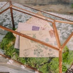 Large Geometric Glass Card Box Terrarium With Slot And Heart Lock, Foot, Gold, Handmade, Brass,for Wedding Receiption, Wishwell, Keepsake Centerpiece 41 Large Geometric Glass Card Box Terrarium With Slot And Heart Lock, Foot, Gold, Handmade, Brass,for Wedding Receiption, Wishwell, Keepsake Centerpiece -Terrarium Plant Hub 5328