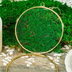 NCYP Wall Hanging Round 5" 4.3" Herbarium Brass Glass Frame For Pressed Flowers, Dried Flowers, Poster, Double Glass, Floating Frame -Terrarium Plant Hub 5710