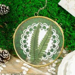NCYP Wall Hanging Round 5" 4.3" Herbarium Brass Glass Frame For Pressed Flowers, Dried Flowers, Poster, Double Glass, Floating Frame -Terrarium Plant Hub 5735