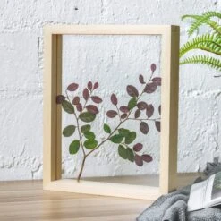 NCYP Handmade Personalized Tabletop Wall Hanging Natural Wood Glass Floating Frame For Photo -Terrarium Plant Hub 8245