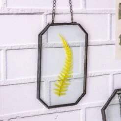 Wall Hanging Black Long Octagon Herbarium Brass Glass Frame For Pressed Flowers Dried Floating Frame -Terrarium Plant Hub 8459