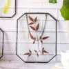 Wall Hanging Black Long Octagon Herbarium Brass Glass Frame For Pressed Flowers Dried Floating Frame