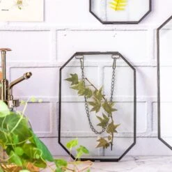 Wall Hanging Black Long Octagon Herbarium Brass Glass Frame For Pressed Flowers Dried Floating Frame -Terrarium Plant Hub 8466
