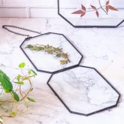 Wall Hanging Black Long Octagon Herbarium Brass Glass Frame For Pressed Flowers Dried Floating Frame -Terrarium Plant Hub 8480