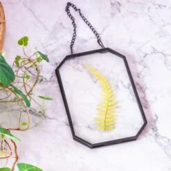 Wall Hanging Black Long Octagon Herbarium Brass Glass Frame For Pressed Flowers Dried Floating Frame -Terrarium Plant Hub 8499