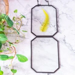 Wall Hanging Black Long Octagon Herbarium Brass Glass Frame For Pressed Flowers Dried Floating Frame -Terrarium Plant Hub 8505