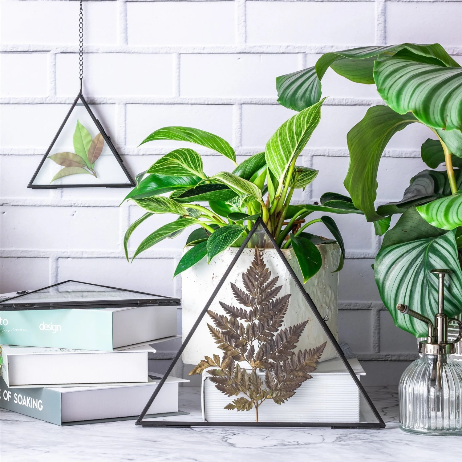 Hanging Black Triangle Herbarium Brass Glass Frame For Pressed Flowers Dried Flowers Poster 4 Hanging Black Triangle Herbarium Brass Glass Frame For Pressed Flowers Dried Flowers Poster - Image 2