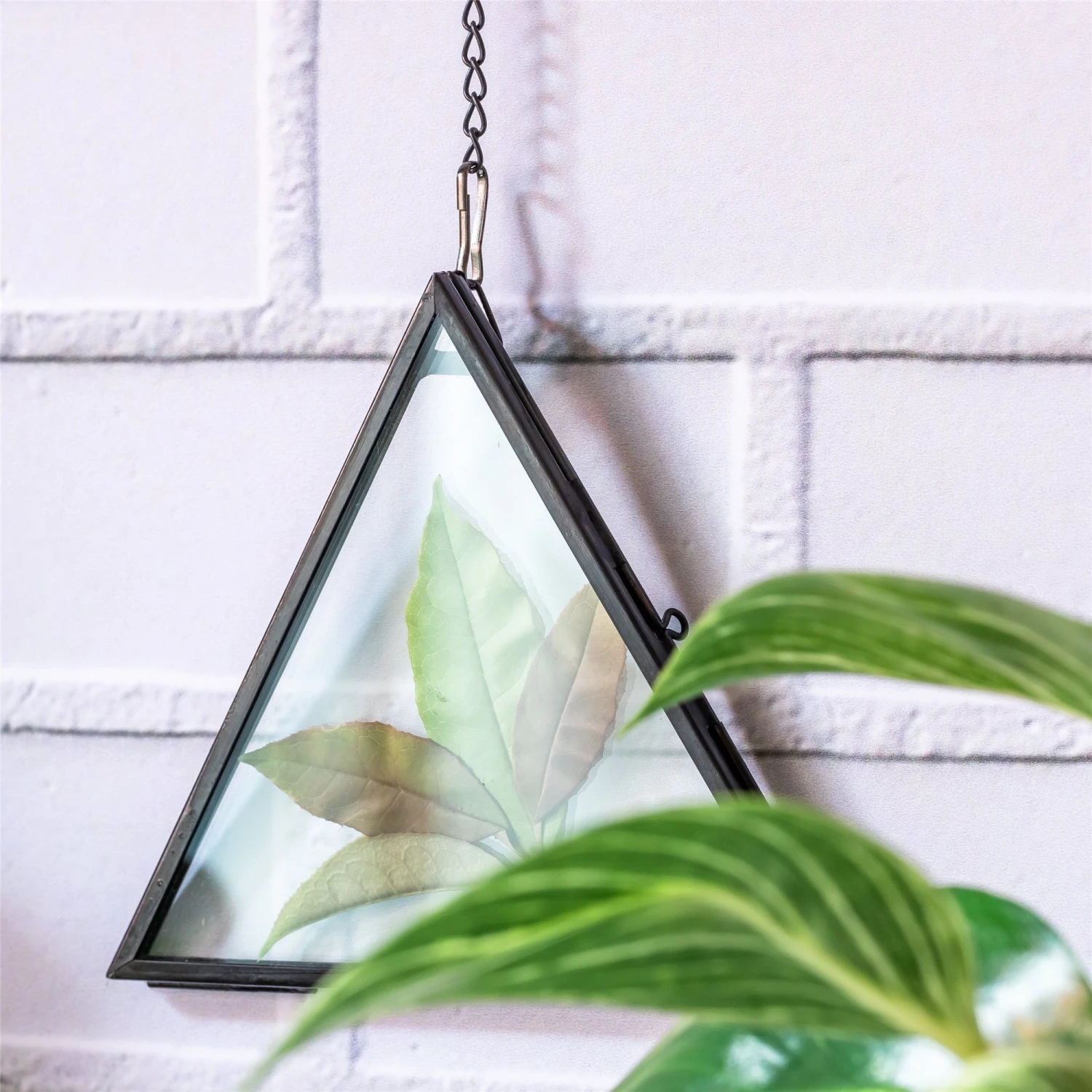 Hanging Black Triangle Herbarium Brass Glass Frame For Pressed Flowers Dried Flowers Poster 9 Hanging Black Triangle Herbarium Brass Glass Frame For Pressed Flowers Dried Flowers Poster - Image 7