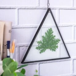 Hanging Black Triangle Herbarium Brass Glass Frame For Pressed Flowers Dried Flowers Poster 15 Hanging Black Triangle Herbarium Brass Glass Frame For Pressed Flowers Dried Flowers Poster -Terrarium Plant Hub 8585