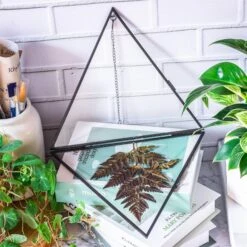 Hanging Black Triangle Herbarium Brass Glass Frame For Pressed Flowers Dried Flowers Poster 14 Hanging Black Triangle Herbarium Brass Glass Frame For Pressed Flowers Dried Flowers Poster -Terrarium Plant Hub 8592