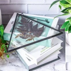 Hanging Black Triangle Herbarium Brass Glass Frame For Pressed Flowers Dried Flowers Poster 13 Hanging Black Triangle Herbarium Brass Glass Frame For Pressed Flowers Dried Flowers Poster -Terrarium Plant Hub 8595