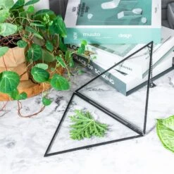 Hanging Black Triangle Herbarium Brass Glass Frame For Pressed Flowers Dried Flowers Poster 16 Hanging Black Triangle Herbarium Brass Glass Frame For Pressed Flowers Dried Flowers Poster -Terrarium Plant Hub 8602
