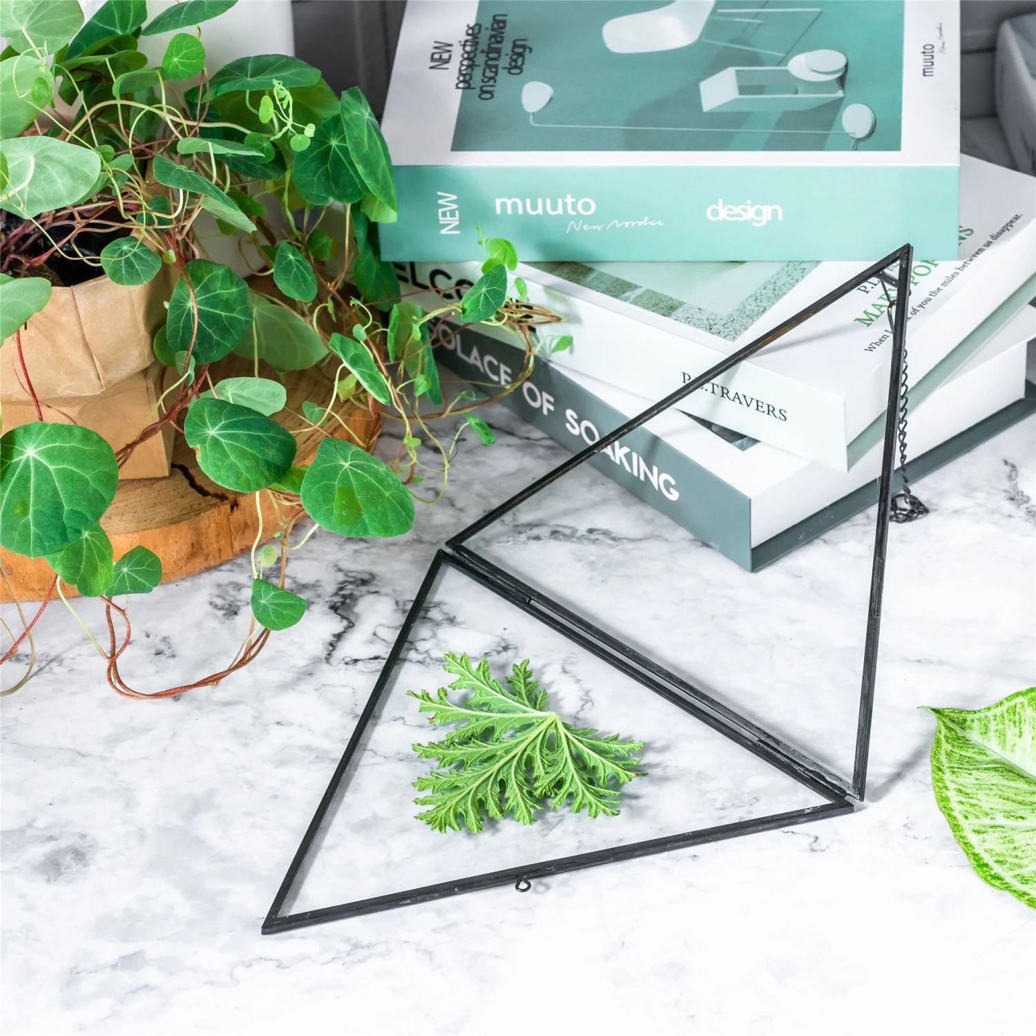 Hanging Black Triangle Herbarium Brass Glass Frame For Pressed Flowers Dried Flowers Poster 8 Hanging Black Triangle Herbarium Brass Glass Frame For Pressed Flowers Dried Flowers Poster - Image 6