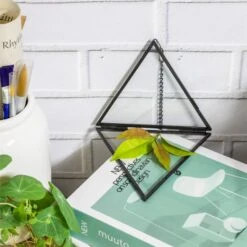 Hanging Black Triangle Herbarium Brass Glass Frame For Pressed Flowers Dried Flowers Poster 18 Hanging Black Triangle Herbarium Brass Glass Frame For Pressed Flowers Dried Flowers Poster -Terrarium Plant Hub 8609