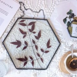 Hanging Black Hexagon Herbarium Brass Glass Frame For Pressed Flowers Dried Flowers Floating Frame -Terrarium Plant Hub 8645