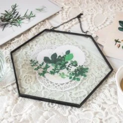 Hanging Black Hexagon Herbarium Brass Glass Frame For Pressed Flowers Dried Flowers Floating Frame -Terrarium Plant Hub 8686