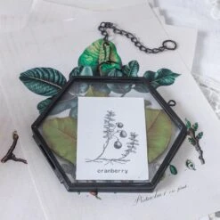 Handmade Black Vintage Brass Floating Hanging Glass Hexagon Picture Photo Frame Small Side Length 2" -Terrarium Plant Hub 8689