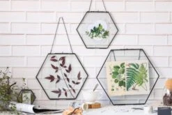 Hanging Black Hexagon Herbarium Brass Glass Frame For Pressed Flowers Dried Flowers Floating Frame -Terrarium Plant Hub 8713