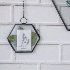 Handmade Black Vintage Brass Floating Hanging Glass Hexagon Picture Photo Frame Small Side Length 2" -Terrarium Plant Hub 8716